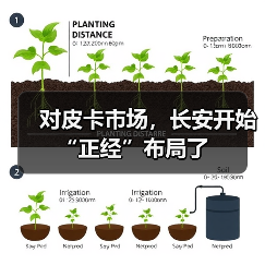 对皮卡市场,长安开始“正经”布局了(图1) 对皮卡市场,长安开始“正经”布局了(图1)