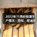 2022年11月份能源生产情况:原煤、原油增速加快(图1) 2022年11月份能源生产情况:原煤、原油增速加快(图1)