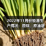 2022年11月份能源生产情况:原煤、原油增速加快(图3) 2022年11月份能源生产情况:原煤、原油增速加快(图3)