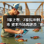3家上市、2家拟冲刺上市 资本市场再增添“新军”(图3) 3家上市、2家拟冲刺上市 资本市场再增添“新军”(图3)