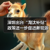 深圳出台“淘汰补贴”政策进一步促进新能源小汽车消费（图4）