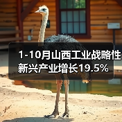 1-10月山西工业战略性新兴产业增长19.5%(图2) 1-10月山西工业战略性新兴产业增长19.5%(图2)