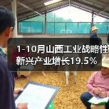 1-10月山西工业战略性新兴产业增长19.5%(图1) 1-10月山西工业战略性新兴产业增长19.5%(图1)