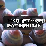 1-10月山西工业战略性新兴产业增长19.5%(图3) 1-10月山西工业战略性新兴产业增长19.5%(图3)