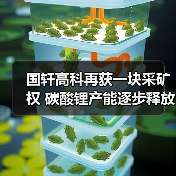 国轩高科再获一块采矿权 碳酸锂产能逐步释放(图2) 国轩高科再获一块采矿权 碳酸锂产能逐步释放(图2)