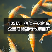 109亿!估值千亿的车企黑马储能电池项目开工(图4) 109亿!估值千亿的车企黑马储能电池项目开工(图4)