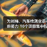 为岩棉、汽车检测业添薪蓄力 10个项目集中投入运行（图2）