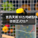 宜昌天赐30万吨磷酸铁项目正式投产(图4) 宜昌天赐30万吨磷酸铁项目正式投产(图4)
