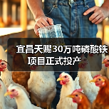 宜昌天赐30万吨磷酸铁项目正式投产(图2) 宜昌天赐30万吨磷酸铁项目正式投产(图2)