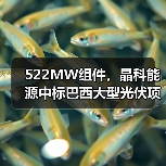 522MW组件,晶科能源中标巴西大型光伏项目(图1) 522MW组件,晶科能源中标巴西大型光伏项目(图1)