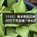 123亿!粤水电拟投建200万千瓦光储一体化项目(图3) 123亿!粤水电拟投建200万千瓦光储一体化项目(图3)