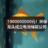 1000000000元！环保龙头成立电池储能公司（图2）