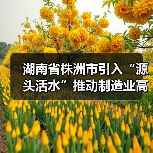 湖南省株洲市引入“源头活水”推动制造业高质量发展（图3）