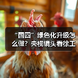 “国四”绿色化升级怎么做?央视镜头看徐工(图2) “国四”绿色化升级怎么做?央视镜头看徐工(图2)