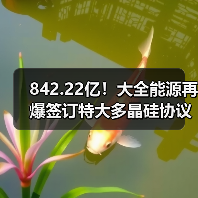 842.22亿！大全能源再爆签订特大多晶硅协议（图3）