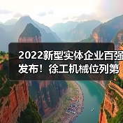 2022新型实体企业百强发布！徐工机械位列第46名（图4）