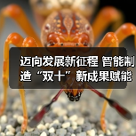 迈向发展新征程 智能制造“双十”新成果赋能行业蝶变(图3) 迈向发展新征程 智能制造“双十”新成果赋能行业蝶变(图3)