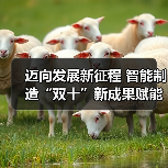 迈向发展新征程 智能制造“双十”新成果赋能行业蝶变(图2) 迈向发展新征程 智能制造“双十”新成果赋能行业蝶变(图2)