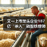 又一上市龙头企业187亿“杀入”磷酸铁锂领域(图1) 又一上市龙头企业187亿“杀入”磷酸铁锂领域(图1)