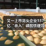 又一上市龙头企业187亿“杀入”磷酸铁锂领域(图2) 又一上市龙头企业187亿“杀入”磷酸铁锂领域(图2)