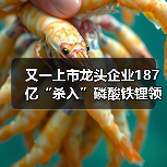 又一上市龙头企业187亿“杀入”磷酸铁锂领域(图3) 又一上市龙头企业187亿“杀入”磷酸铁锂领域(图3)