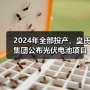2024年全部投产,皇氏集团公布光伏电池项目新进展(图4) 2024年全部投产,皇氏集团公布光伏电池项目新进展(图4)