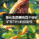 雅化集团拥有四个锂矿矿权70%的控制权（图4）
