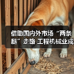 借助国内外市场“两条腿”走路 工程机械业成就太亮眼(图2) 借助国内外市场“两条腿”走路 工程机械业成就太亮眼(图2)
