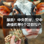 最新!中央厨房、空中造楼机等8个项目投产或投用(图1) 最新!中央厨房、空中造楼机等8个项目投产或投用(图1)
