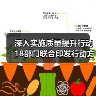 深入实施质量提升行动 18部门联合印发行动方案（图3）