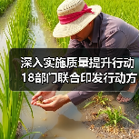 深入实施质量提升行动 18部门联合印发行动方案（图4）