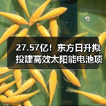 27.57亿!东方日升拟投建高效太阳能电池项目(图3) 27.57亿!东方日升拟投建高效太阳能电池项目(图3)