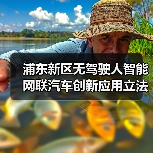 浦东新区无驾驶人智能网联汽车创新应用立法表决通过(图3) 浦东新区无驾驶人智能网联汽车创新应用立法表决通过(图3)