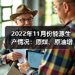 2022年11月份能源生产情况:原煤、原油增速加快(图4) 2022年11月份能源生产情况:原煤、原油增速加快(图4)