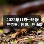 2022年11月份能源生产情况:原煤、原油增速加快(图2) 2022年11月份能源生产情况:原煤、原油增速加快(图2)
