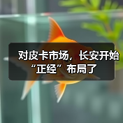 对皮卡市场,长安开始“正经”布局了(图3) 对皮卡市场,长安开始“正经”布局了(图3)