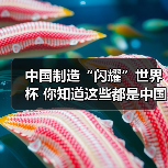中国制造“闪耀”世界杯 你知道这些都是中国造吗?(图1) 中国制造“闪耀”世界杯 你知道这些都是中国造吗?(图1)