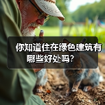 你知道住在绿色建筑有哪些好处吗?(图3) 你知道住在绿色建筑有哪些好处吗?(图3)