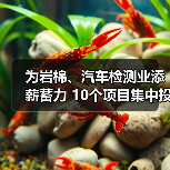 为岩棉、汽车检测业添薪蓄力 10个项目集中投入运行(图4) 为岩棉、汽车检测业添薪蓄力 10个项目集中投入运行(图4)