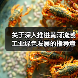 关于深入推进黄河流域工业绿色发展的指导意见(图3) 关于深入推进黄河流域工业绿色发展的指导意见(图3)