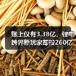 账上仅有3.38亿,锂电跨界新玩家却投260亿项目!(图1) 账上仅有3.38亿,锂电跨界新玩家却投260亿项目!(图1)
