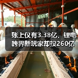 账上仅有3.38亿,锂电跨界新玩家却投260亿项目!(图3) 账上仅有3.38亿,锂电跨界新玩家却投260亿项目!(图3)