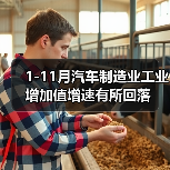 1-11月汽车制造业工业增加值增速有所回落（图3）
