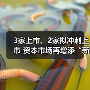 3家上市、2家拟冲刺上市 资本市场再增添“新军”(图1) 3家上市、2家拟冲刺上市 资本市场再增添“新军”(图1)