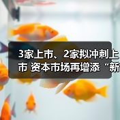 3家上市、2家拟冲刺上市 资本市场再增添“新军”(图4) 3家上市、2家拟冲刺上市 资本市场再增添“新军”(图4)