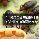 1-10月吕梁市战略性新兴产业增加值同比增长15%(图1) 1-10月吕梁市战略性新兴产业增加值同比增长15%(图1)