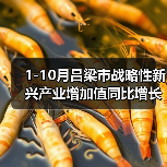 1-10月吕梁市战略性新兴产业增加值同比增长15%(图3) 1-10月吕梁市战略性新兴产业增加值同比增长15%(图3)
