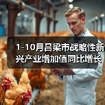 1-10月吕梁市战略性新兴产业增加值同比增长15%(图4) 1-10月吕梁市战略性新兴产业增加值同比增长15%(图4)