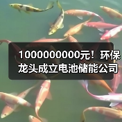 1000000000元！环保龙头成立电池储能公司（图4）
