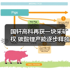 国轩高科再获一块采矿权 碳酸锂产能逐步释放（图4）